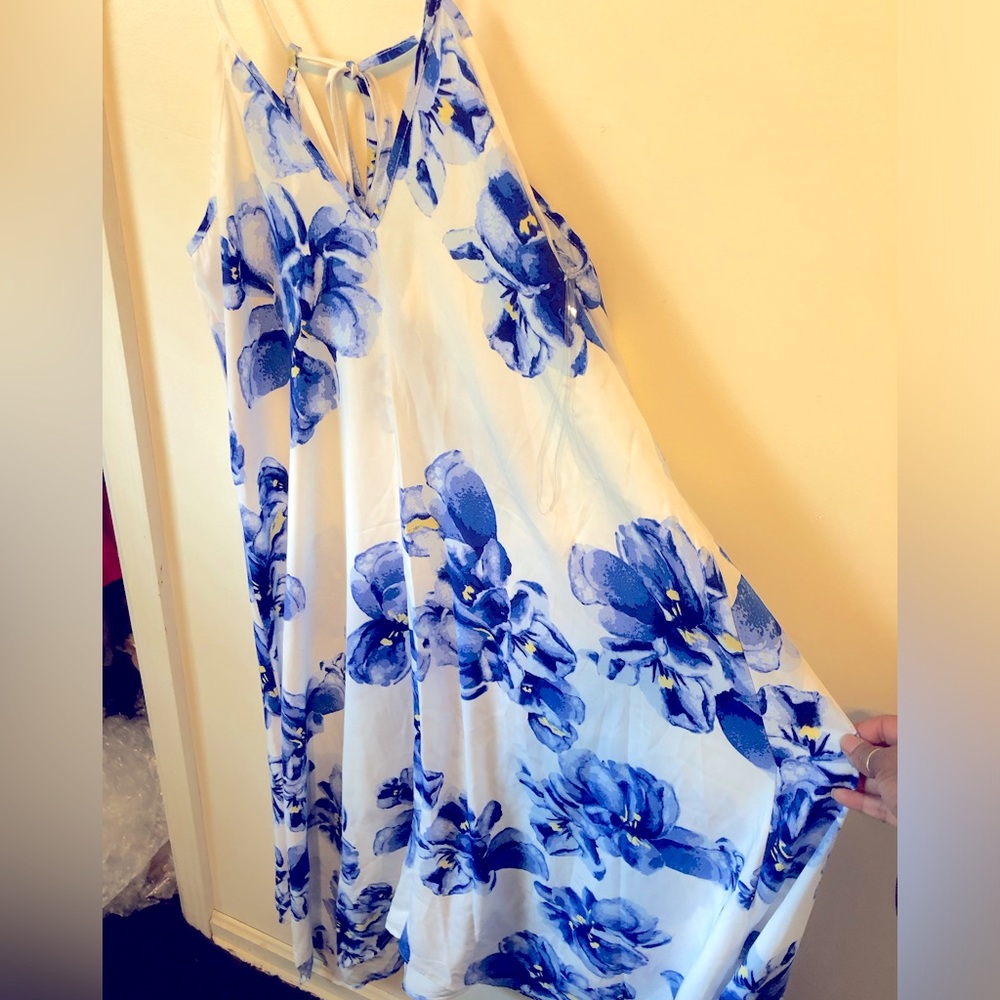 CES Femme womens floral maxi dress